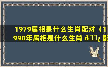 1979属相是什么生肖配对（1990年属相是什么生肖 🌿 配对最好）
